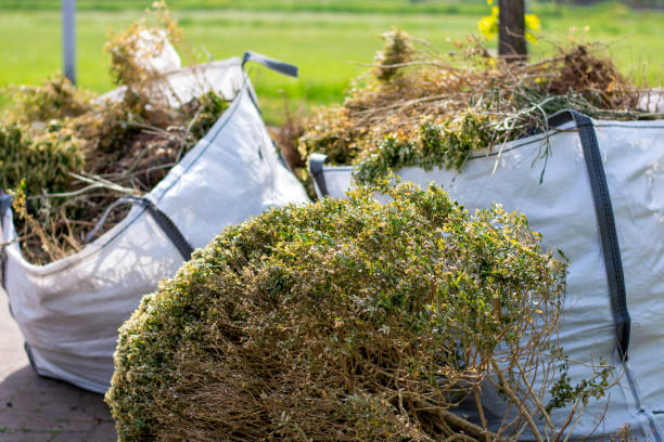 Best Affordable Junk Removal Services  in Norridge, IL